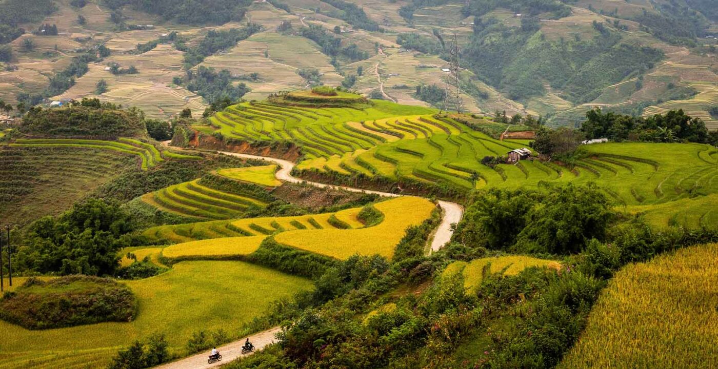 Sapa