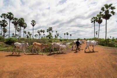 Kampong Thom, Cambodia