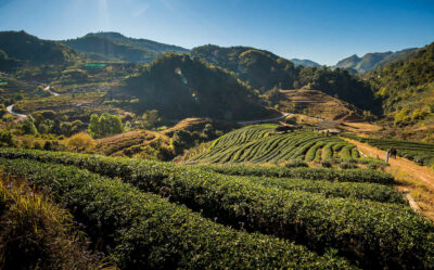 Doi Ang Khang, Thailand