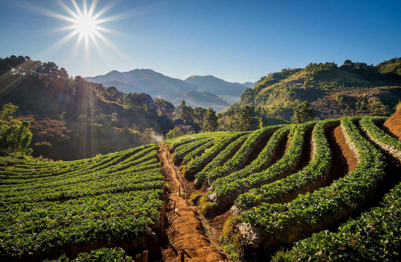 Doi Ang Khang