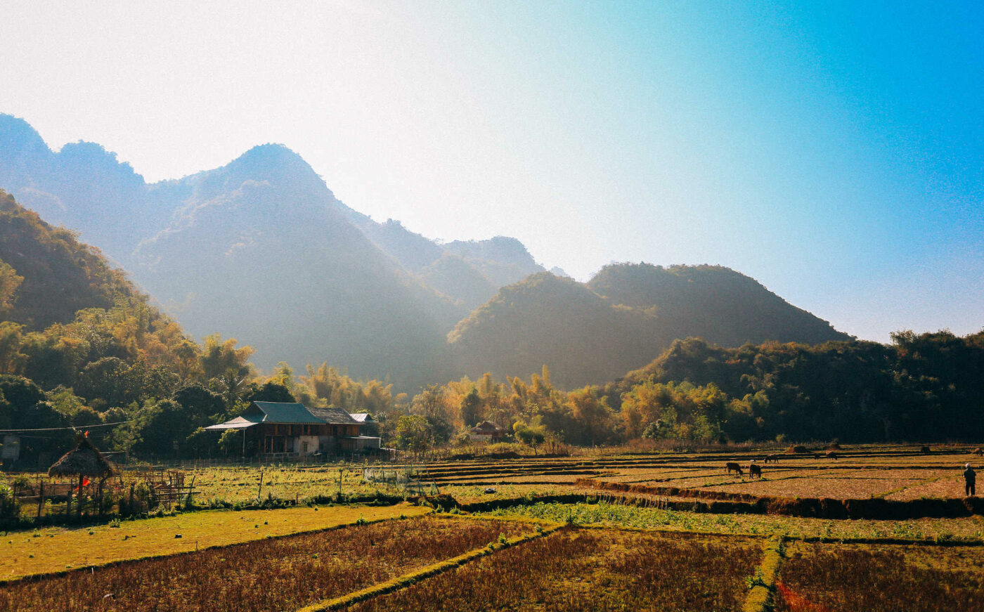 Mai Chau