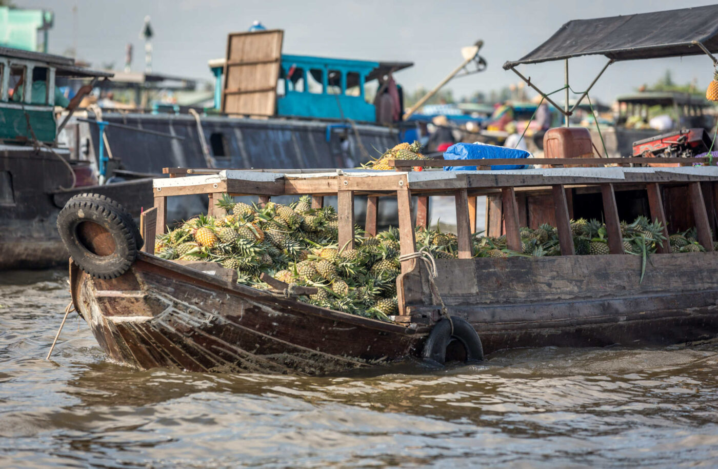 Mekong delta